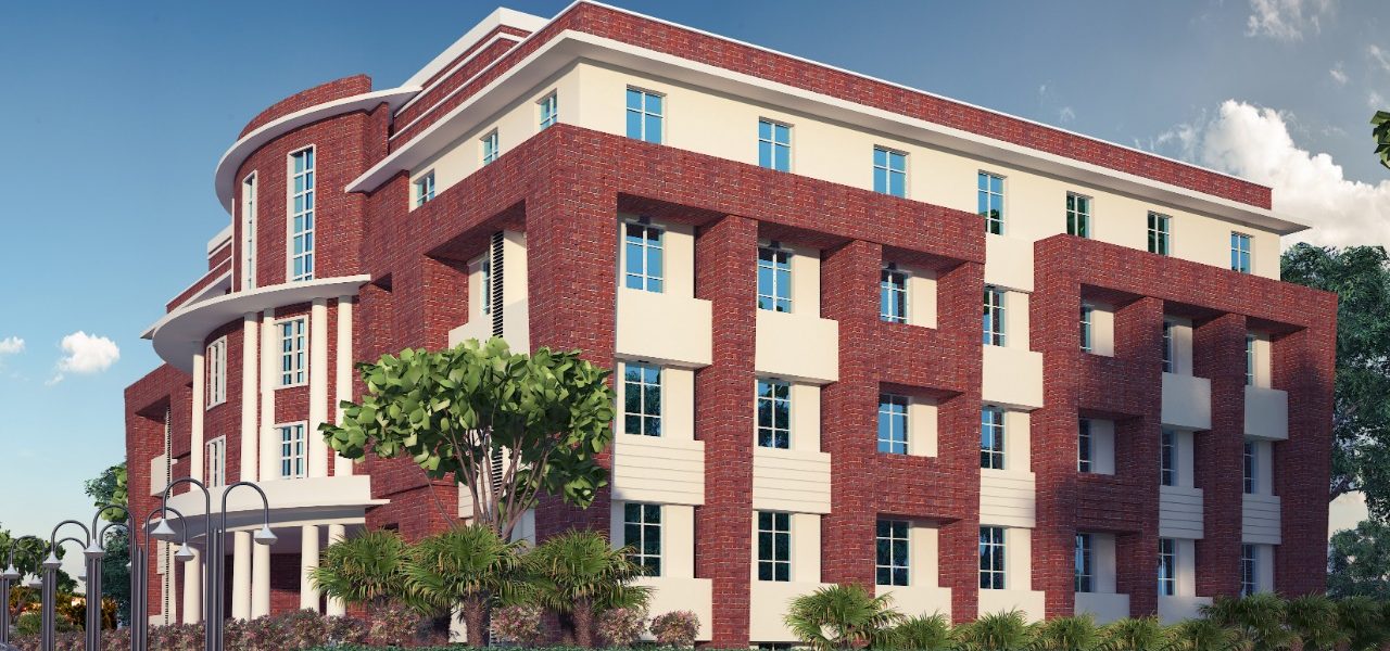 Turn Your Dream Into Reality